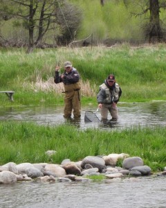 Fishing Armstrong Spring Creek