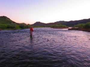 Missouri River June Evening Caddis