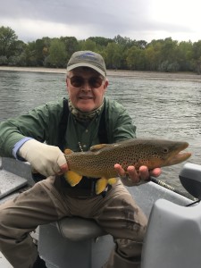 Big Brown, Yellowstone River in the Fall