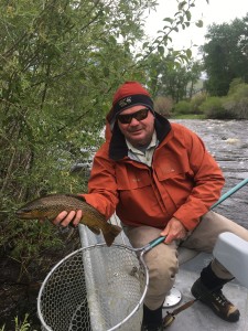 Big Hole Salmon Fly Brown