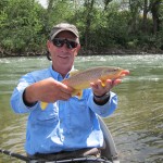 Stillwater River Brown Trout