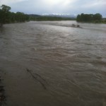 Yellowstone River Report May 18 2012