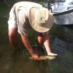 Yellowstone River = Dry Fly