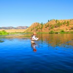 Missouri River Dry Flies