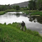 Depuy’s Spring Creek in June