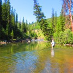 Yellowstone Backcountry Flyfishing Trip