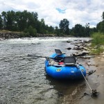 Yellowstone, Boulder, and Stillwater Rivers Report July 2016