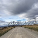 Montana Fall Migration