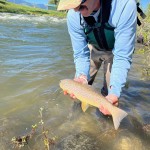 Montana Flyfishing 2022