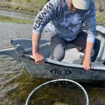 Hansen River Fly Outfitters Photos From the Missouri River