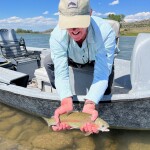 Hansen River Fly Outfitters Photos From the Yellowstone River